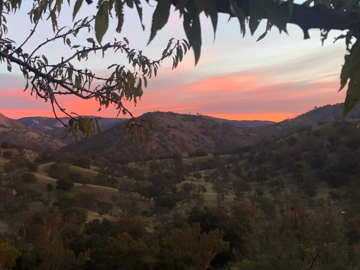 sunrise.jpg